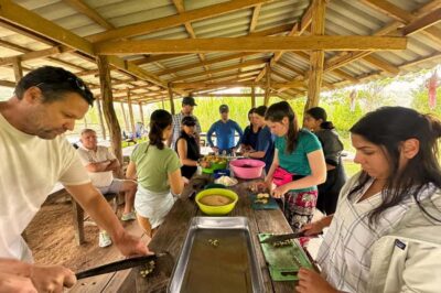 Chiang Mai: Day for Elephant Observation Only Half-day Trip - The mountain sanctuary near Doi Inthanon: calm views, real outdoors time