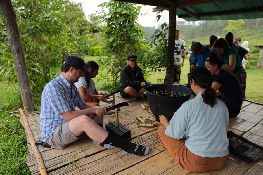 Chiang Mai: Day for Elephant Observation Only Half-day Trip - Who this tour fits best