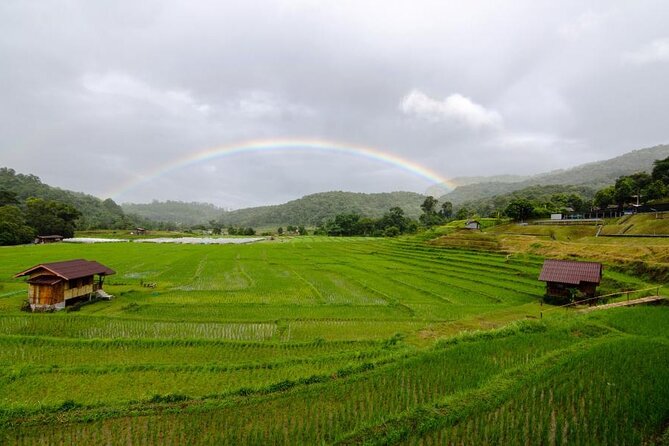 Chiang Mai - Doi Inthanon Full day Tour - From Tha Phae Gate: getting there with less stress