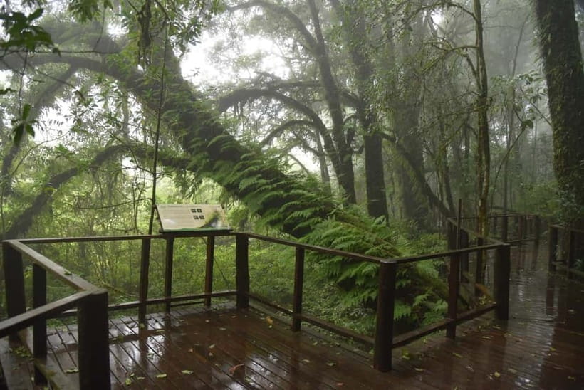 Chiang Mai: Doi Inthanon National Park and Kew Mae Pan Tour - Guides, pacing, and the small things that change the whole day