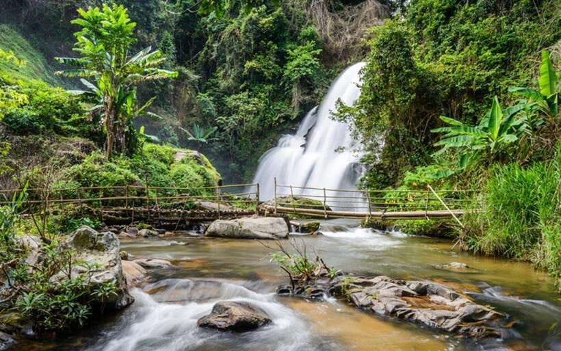 Chiang Mai: Doi Inthanon National Park and Pha Dok Siew Trek - Van Time, Café Breaks, and How the Route Really Works