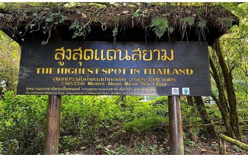 Chiang Mai: Doi Inthanon National Park and Pha Dok Siew Trek - Pha Dok Siew Nature Trail: The Best Part and the One You Must Prepare For