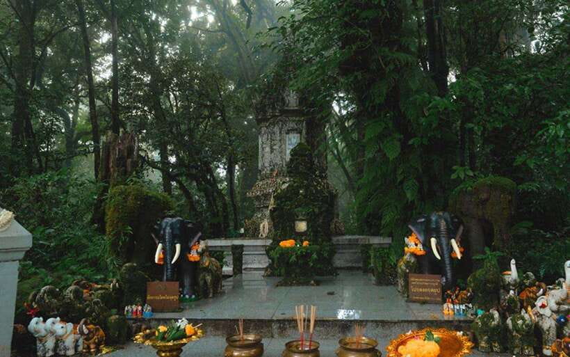 Chiang Mai: Doi Inthanon National Park Sightseeing Only - Lunch: set-menu Thai food that can be surprisingly good