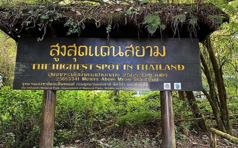 Chiang Mai: Doi Inthanon National Park Sightseeing Only - Hill-tribe market and Ban Mae Klang Luang coffee/flower tea