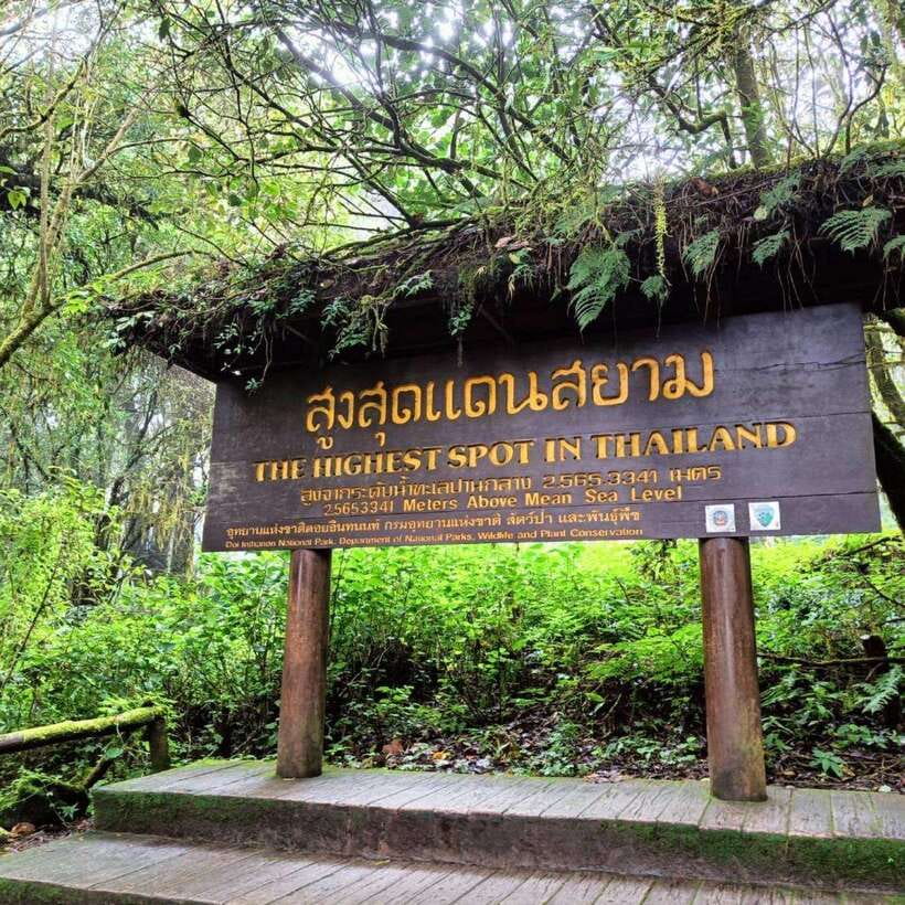 Chiang Mai: Doi Inthanon National Park & Waterfall Day Tour - Hmong Market and Lunch: Food as a Cultural Break