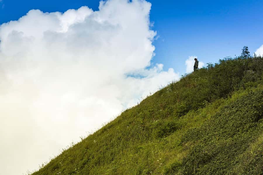 Chiang Mai: Doi Inthanon National Park, Waterfall & Lunch - Stop by stop: what the day looks like in practice