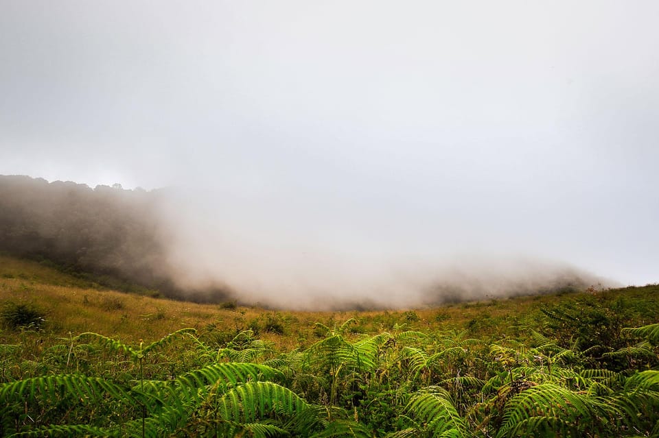 Chiang Mai: Doi Inthanon National Park, Waterfall & Lunch - Guides and the pace: what you’ll notice most