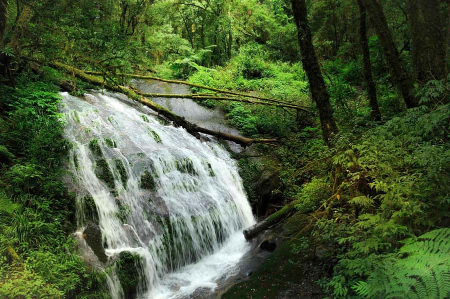 Chiang Mai: Doi Inthanon National Park, Waterfall & Lunch - Getting out of Chiang Mai smoothly (pickup, timing, and group size)