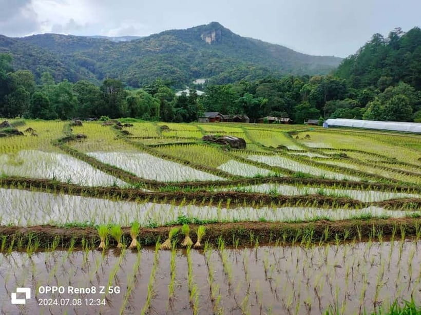 Chiang Mai: Doi Inthanon National Park+Trek Pha Dok Siew - Karen Village Coffee, Then Hmong Market and Wachiratharn Waterfall