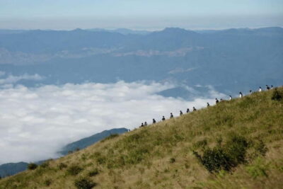 Chiang Mai: Doi Inthanon Park and Kew Mae Pan 2-Hour Hike - King and Queen Pagodas: cultural etiquette before you lift your camera