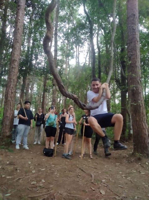 Chiang Mai: Doi Inthanon Park and Pha Dok Siew Hike Day Trip - Pha Dok Siew Nature Trail: The 2-Hour Walk You’ll Actually Remember
