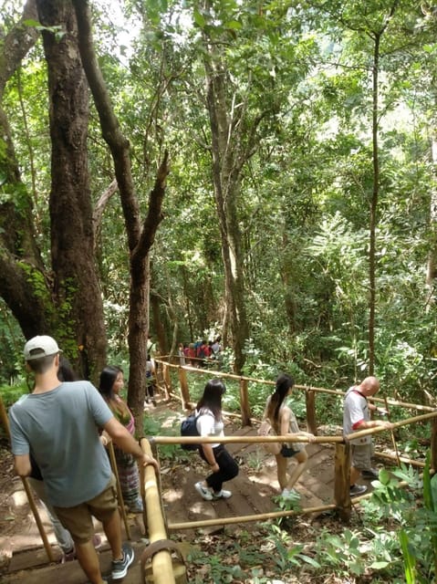 Chiang Mai: Doi Inthanon Park and Pha Dok Siew Hike Day Trip - Price and What You’re Actually Paying For (Including Entry Fees)