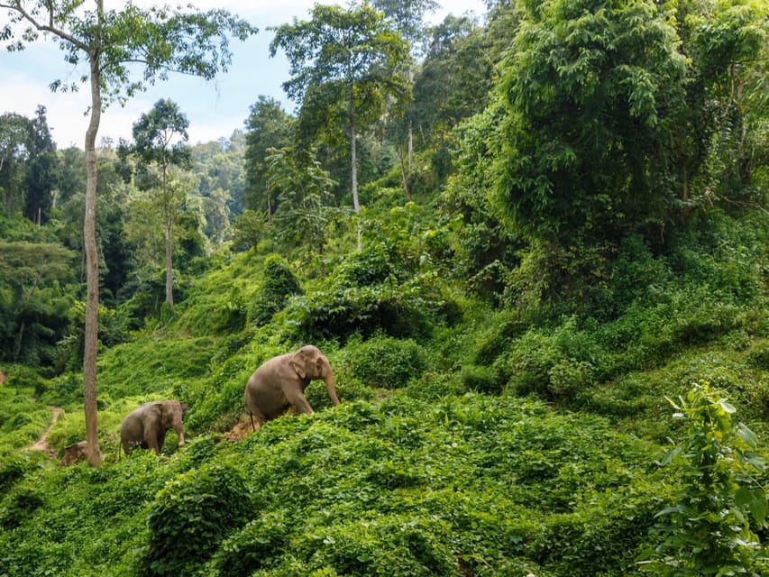 Chiang Mai: Doi Inthanon Park and Pha Dok Siew Trail Trek - Doi Inthanon: Why This Day Trip Beats a Typical Sightseeing Loop