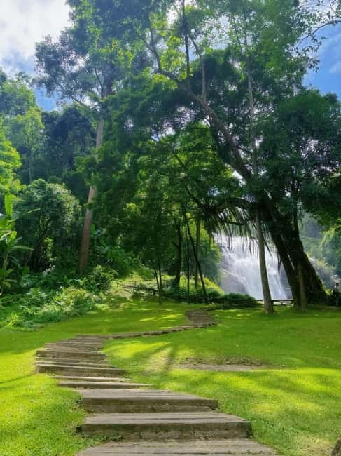 Chiang Mai Doi Inthanon Park Waterfall Pure Sightseeing Tour - Why Doi Inthanon feels like a different world