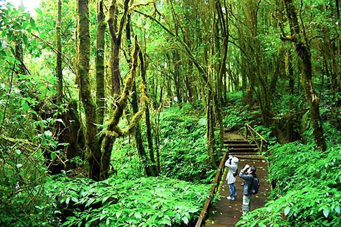CHIANG MAI: Doi Inthanon-Trekking Keiw Mae Pan-Waterfall-Lunch - The Kew Mae Pan Nature Trail: Big Views, Real Stairs