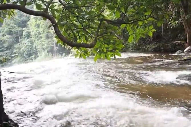 CHIANG MAI: Doi Inthanon-Trekking Pha Dok Seaw-Waterfall-Lunch - Doi Inthanon and the Twin Pagodas: The Temple Stop That Actually Fits the Day