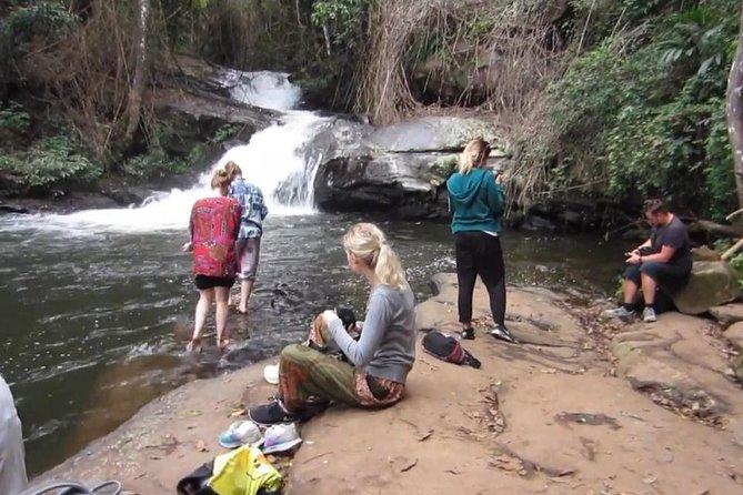 CHIANG MAI: Doi Inthanon-Trekking Pha Dok Seaw-Waterfall-Lunch - The Trek Plan: Two Hiking Stretches and a Nature Trail