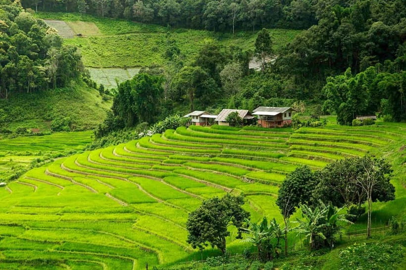 Chiang Mai: Doi Inthanon Trip with Pha Dok Siew Guided Trek - Entering Doi Inthanon’s colder world