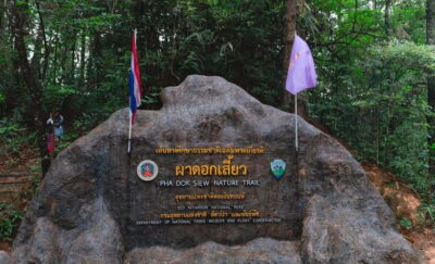 Chiang Mai: Doi Inthanon Trip with Pha Dok Siew Guided Trek - Getting there: early van time without the chaos