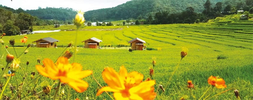 Chiang Mai: Doi Inthanon Trip with Pha Dok Siew Guided Trek - The highest point of Thailand: views might be limited, but it still counts