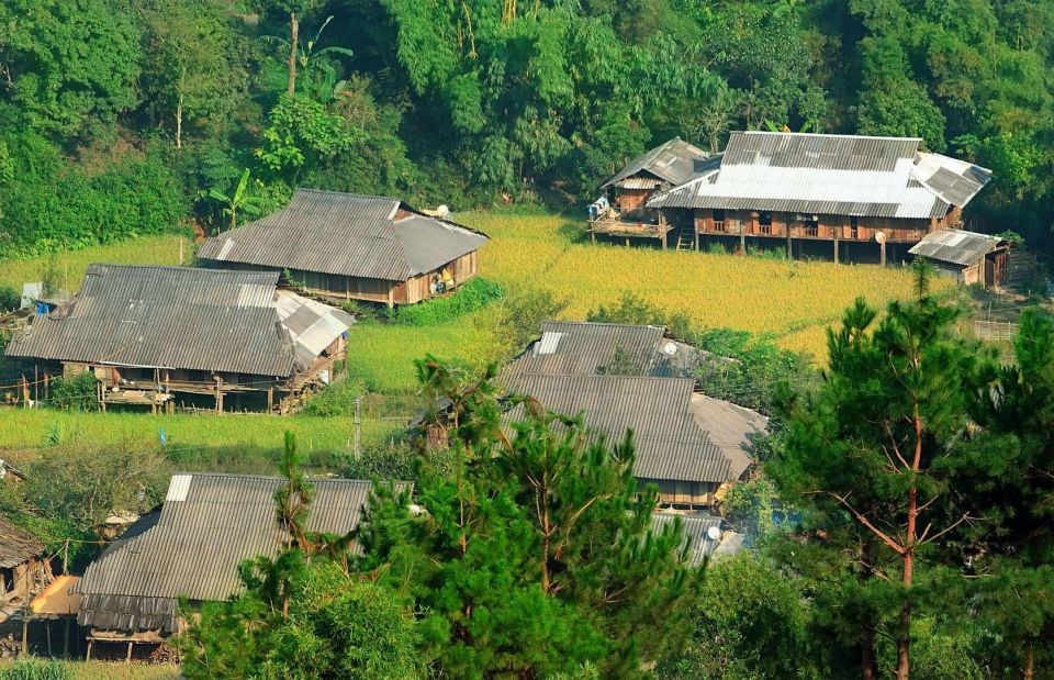 Chiang Mai: Doi Suthep and Hmong Village Half-Day Tour - Key Highlights Worth Your Time