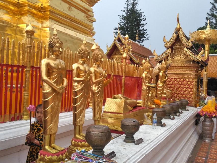 Chiang Mai: Doi Suthep National Park Leisure Hiking & Biking - Lunch, gear, and support: how the tour handles comfort and value