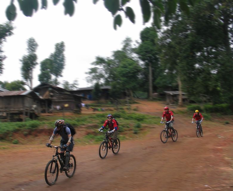 Chiang Mai: Doi Suthep National Park Leisure Hiking & Biking - Hill tribe village hike near the summit: walking, learning, and slowing down