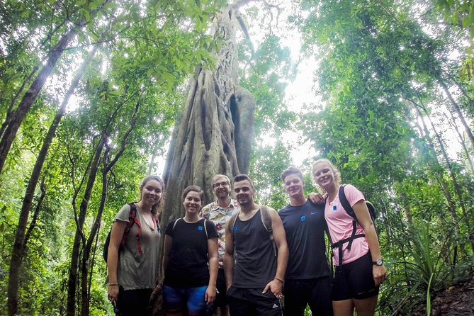 Chiang Mai: Doi Suthep Summit Trek – 7 Hour Pure Hiking Adventure - Key Things I’d Circle in This Doi Pui Summit Trek
