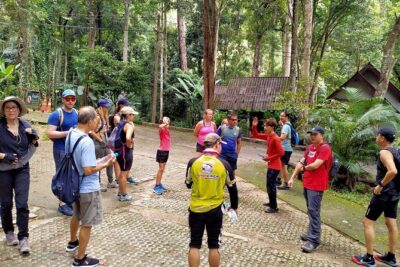Chiang Mai: Doi Suthep Summit Trek – 7 Hour Pure Hiking Adventure - From Wat Pha Lat to Wat Doi Suthep: The Climb Starts Before You Think You’re Ready