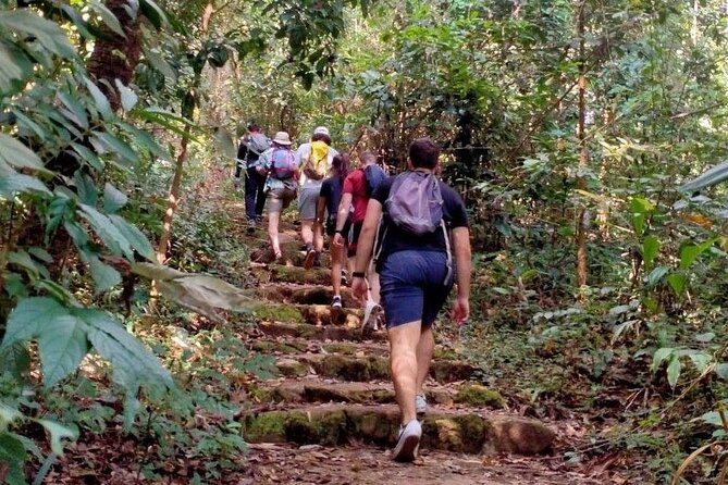 Chiang Mai: Doi Suthep Summit Trek – 7 Hour Pure Hiking Adventure - Getting Back Down: Truck Ride, Optional Temple Time, and Keeping the Day Moving