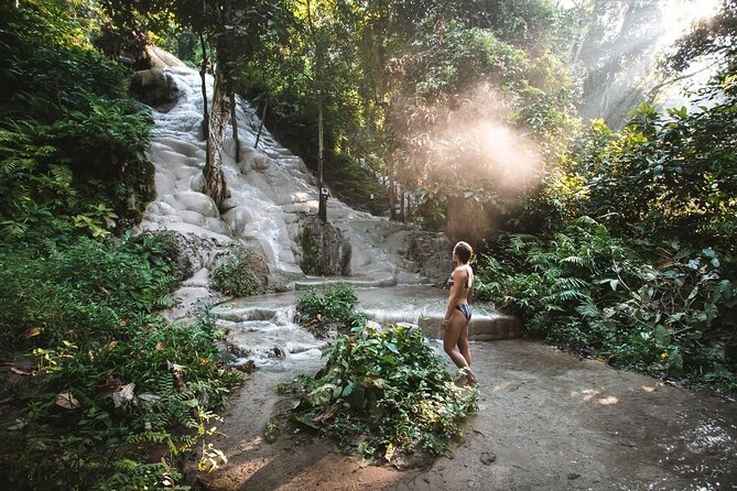 Chiang Mai Doi Suthep Temple and Sticky Waterfall Tour (Private & All-Inclusive) - Key highlights at a glance