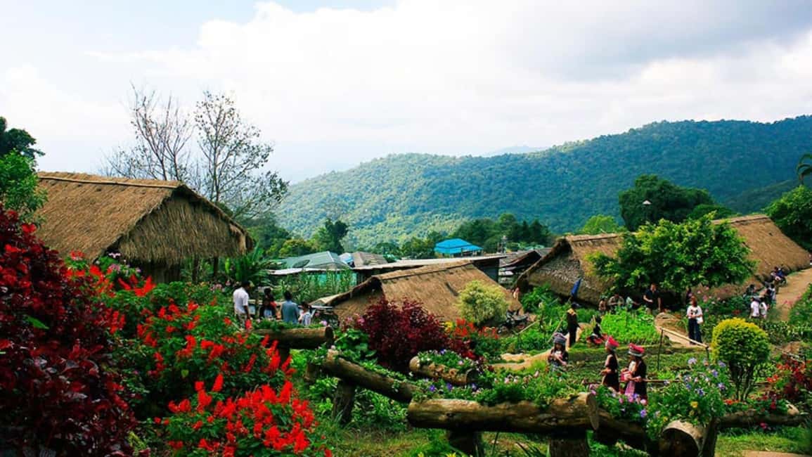 Chiang Mai: Doi Suthep Temple & Hmong Hill Tribe Culture - Key Takeaways Before You Go