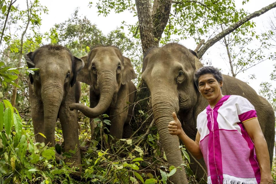 Chiang Mai: Elephant Dream Project Sanctuary - Half-Day - What to pack (and what to skip) for this jungle half-day