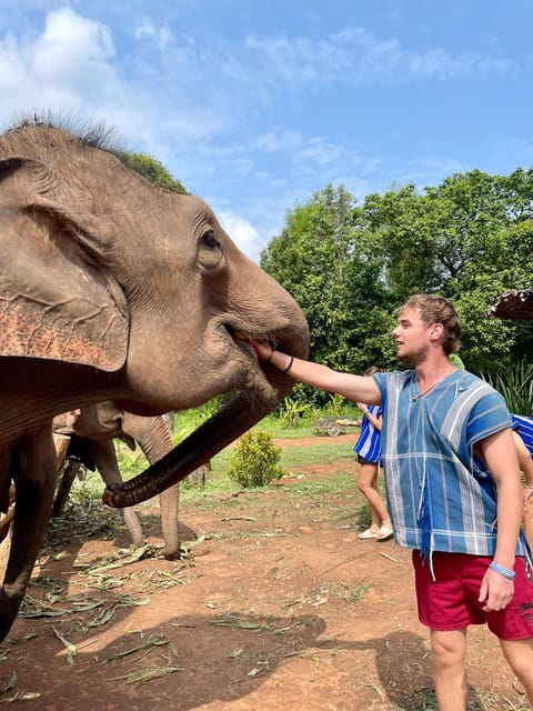 Chiang Mai: Elephant Dream Project Sanctuary - Half-Day - Chiang Mai hotel pickup to the jungle: why the timing works