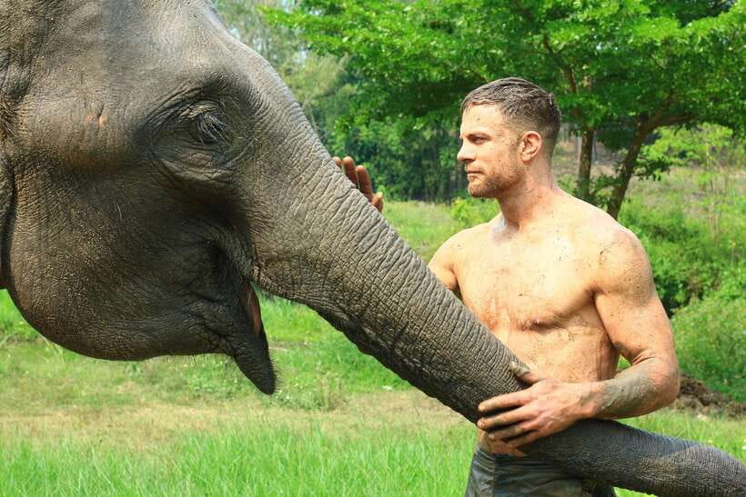 Chiang Mai: Elephant Feeding Experience - Key highlights you’ll feel right away