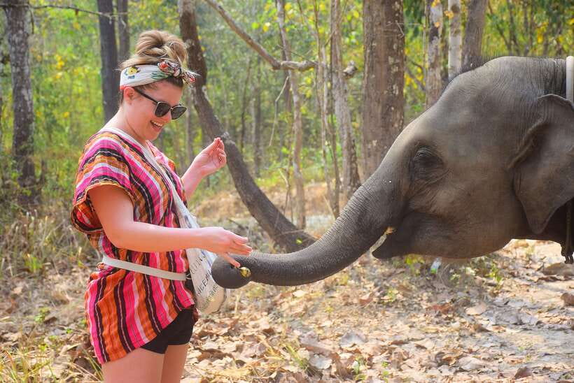 Chiang Mai: Elephant Feeding Experience - Check-in and pre-feeding setup: coffee, water, and a quick briefing