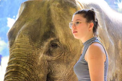 Chiang Mai: Elephant Feeding Experience - Getting there: the simple logistics that can make or break the day