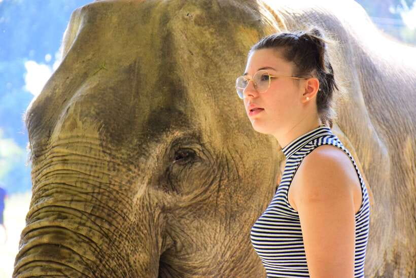 Chiang Mai: Elephant Feeding Experience - Getting there: the simple logistics that can make or break the day