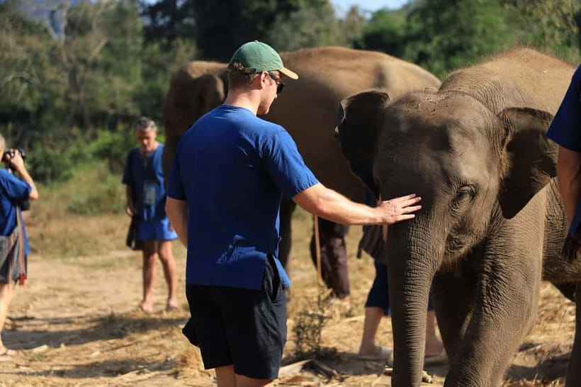 Chiang Mai: Elephant Sanctuary Bamboo Raft & Padthai Cooking - Key Things That Make This Day Trip Work