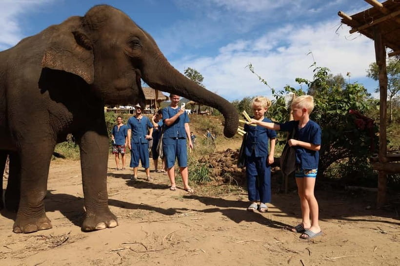 Chiang Mai: Elephant Sanctuary Bamboo Raft & Padthai Cooking - Living Green Elephant Sanctuary: Why This Elephant Day Feels Different