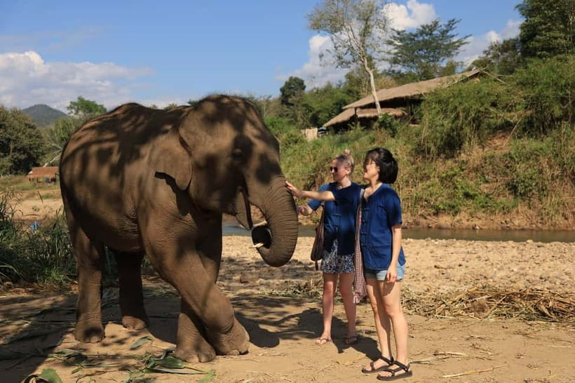 Chiang Mai: Elephant Sanctuary Bamboo Raft & Padthai Cooking - Price and Value at Around $54: What You’re Paying For