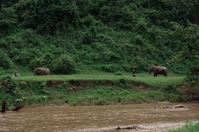 Chiang Mai Elephant Sanctuary, Bamboo Rafting and Waterfall Tour - A full-day Chiang Mai plan that actually makes sense
