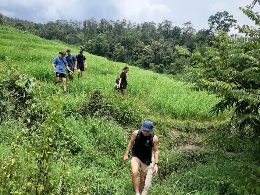 Chiang Mai: Elephant Sanctuary & Jungle Trek w/ Waterfall - Bamboo rafting on the Mae Wang River: your 50-minute reset