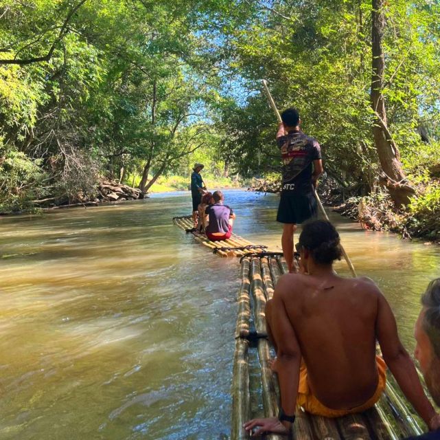 Chiang Mai: Elephant Sanctuary & Jungle Trek w/ Waterfall - Wildlife viewing: the quiet hour between the big moments