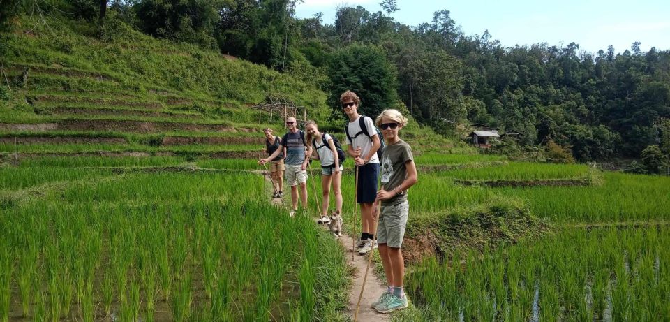 Chiang Mai: Elephant Sanctuary & Jungle Trek w/ Waterfall - Getting the timing right: pacing, transport, and group size
