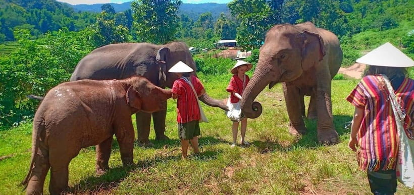 Chiang Mai: Elephant Sanctuary Local Hill Tribe Caretakers - Key things worth knowing before you go