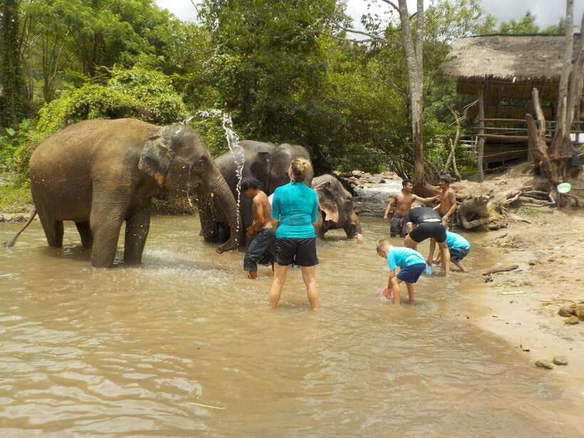 Chiang Mai: Elephant Sanctuary Local Hill Tribe Caretakers - Bath time in the Mae Wang River: what it feels like and what to bring