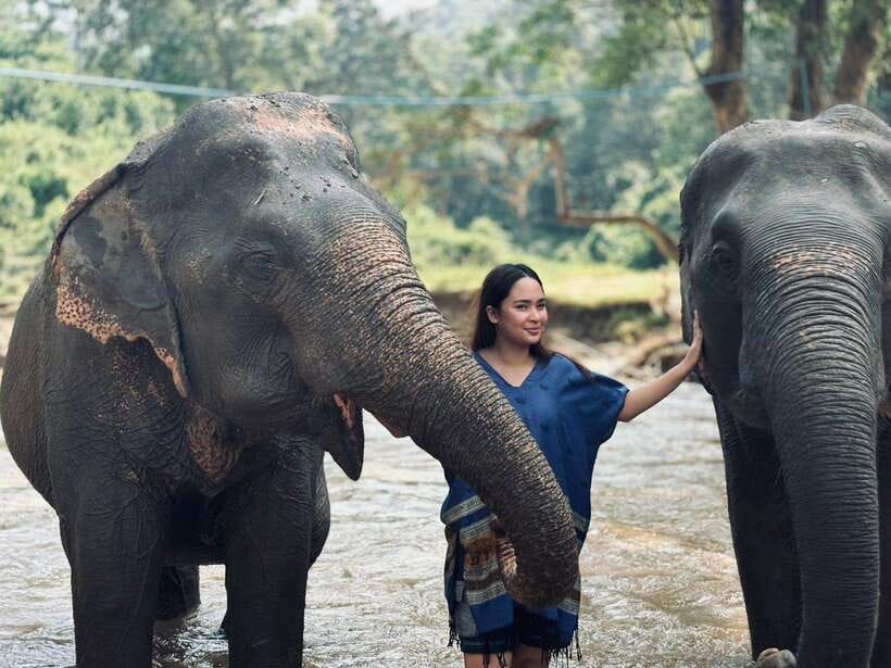 Chiang Mai: Elephant Sanctuary, Long Neck & Sticky Waterfall - Planning Your Chiang Mai Day: Pickup, Timing, and What 9 Hours Adds Up To