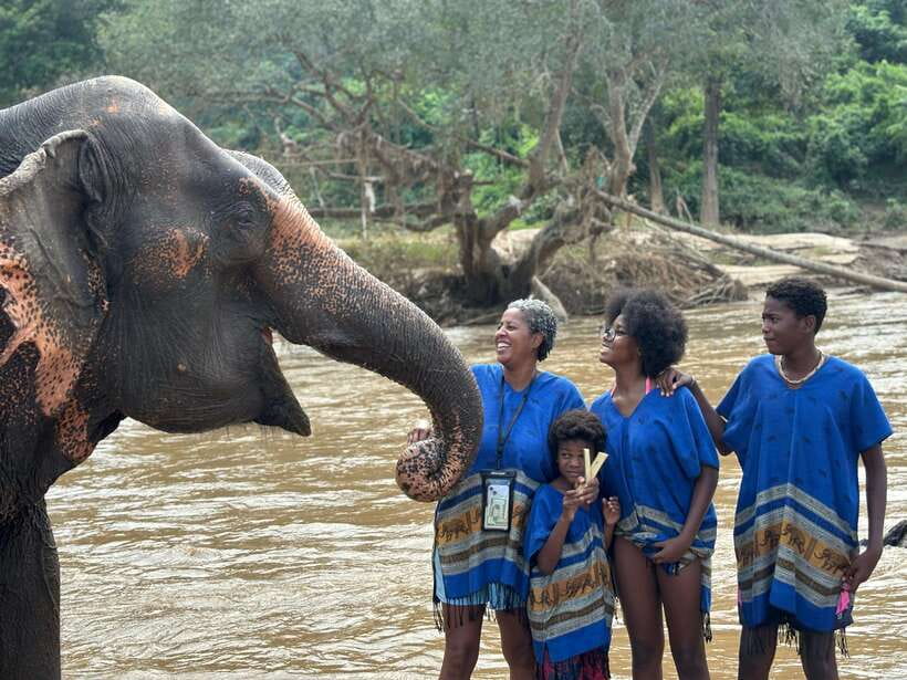 Chiang Mai: Elephant Sanctuary, Long Neck & Sticky Waterfall - Should You Book This Chiang Mai Elephant + Sticky Waterfall Tour?