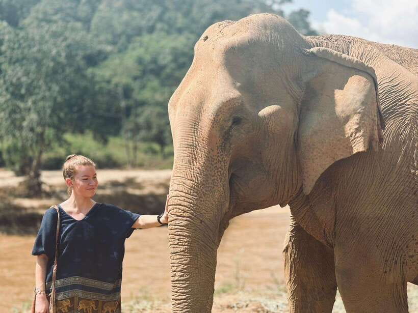 Chiang Mai: Elephant Sanctuary, Long Neck & Sticky Waterfall - Buatong Sticky Waterfall Climb: Turning Heat Into a Fun Challenge